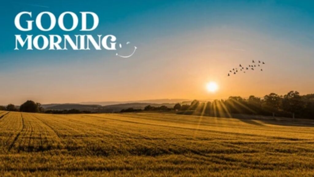 Peaceful Mornings Messages